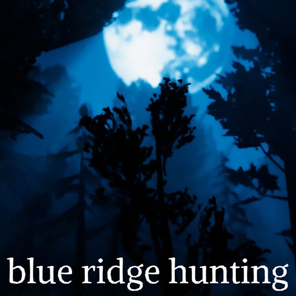 Blue Ridge Hunting